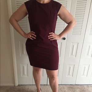 LOFT 16P Maroon Sheath Dress